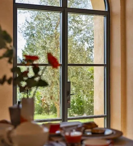 Exclusive Mami シエーナ