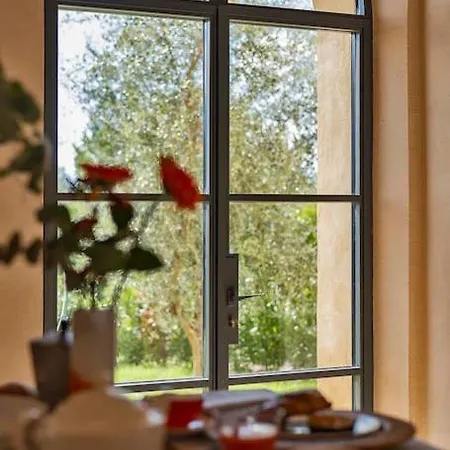 Exclusive Mami سيينا