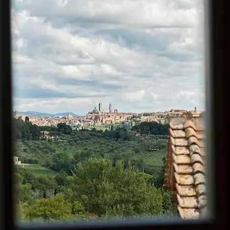 فيلة Exclusive Mami