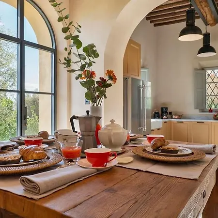 فيلة Exclusive Mami